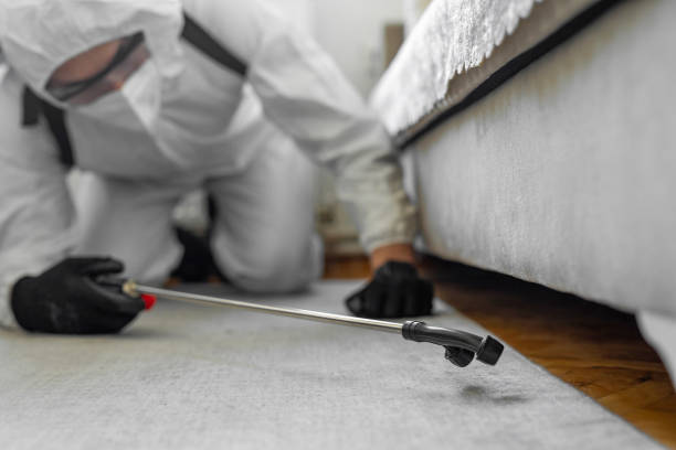 Professional Termite Control technician working in Williamsport, OH