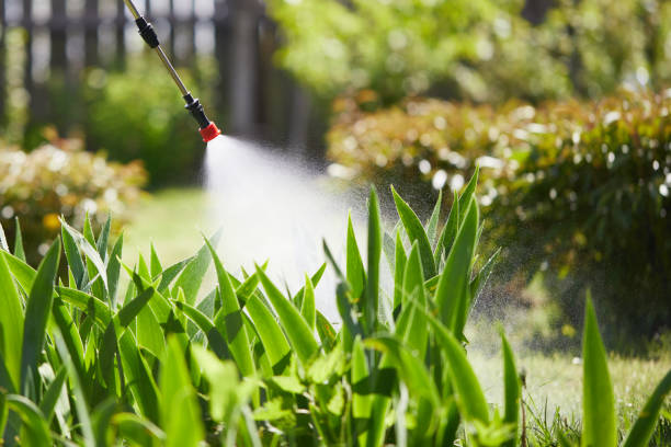 24/7 Emergency Termite Control experts in Williamsport, OH