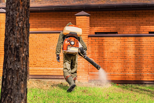 Trusted Ant Control service in Williamsport, OH - Nex Pest Control